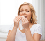 אהיסטון - אנרגטיקה ופרמבצטיקה-תמונה